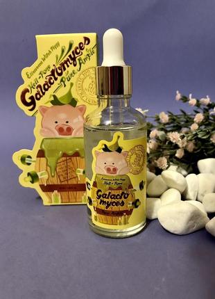 Сироватка для обличчя галактомісіс 100% 50 мл elizavecca witch piggy hell-pore galactomyces pure ample