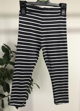 Лосини в смужку george