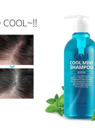 Освежающий шампунь с ментолом esthetic house cp-1 cool mint shampoo3 фото