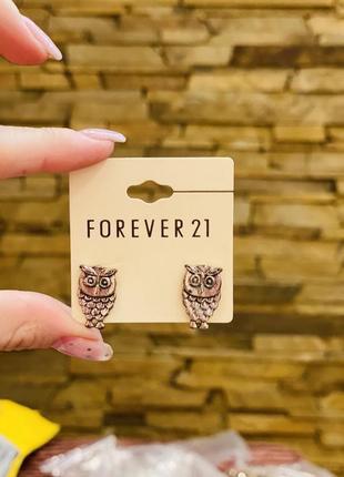 Сережки совы