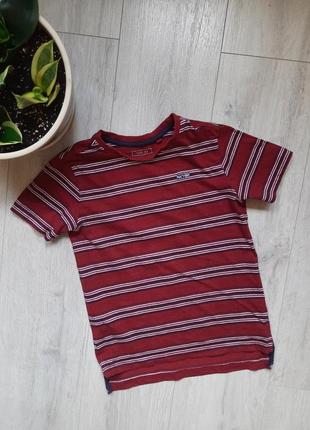 Next 6 лет футболка для хлопчика