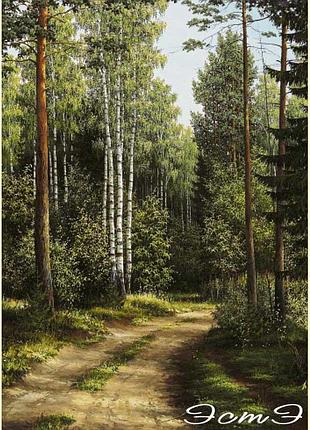 148 лесная дорога 350 х 490