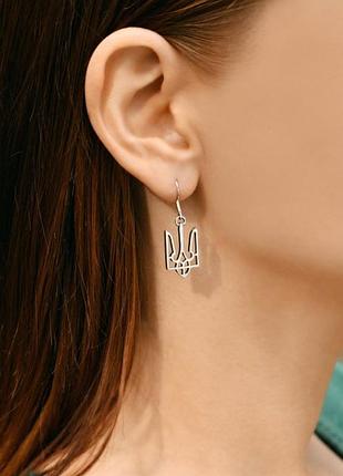 Серебряные сережки