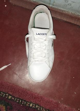 Кросовки lacoste8 фото