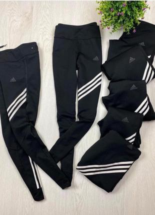 Лосины adidas10 фото