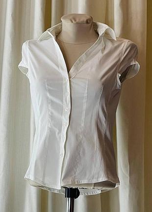 Шикарна блуза сорочка сорочка