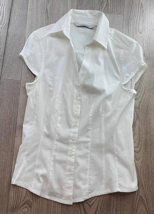 Шикарна блуза сорочка рубашка5 фото