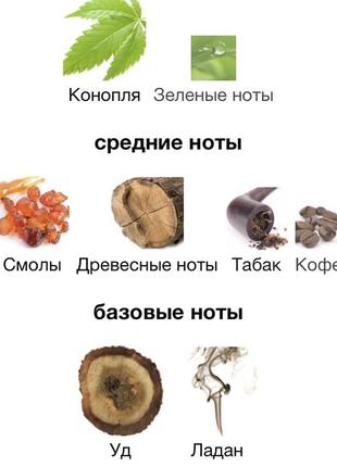 Nasomatto black afgano парфуми розпив, оригінал! доставка! 3