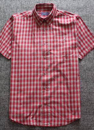 Сорочка kangol оригінал