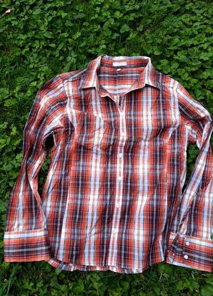 Чоловіча сорочка на довгий рукав marco pecci.