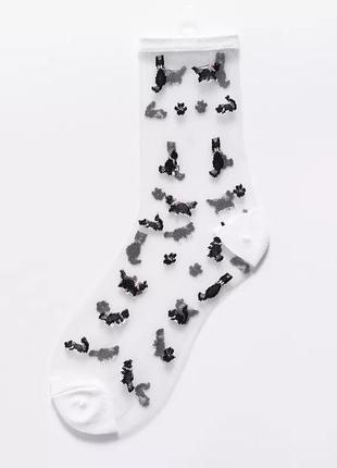 Шкарпетки прозорі з крутими принтами4 фото