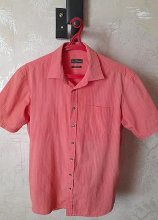 Шведка charles vögele