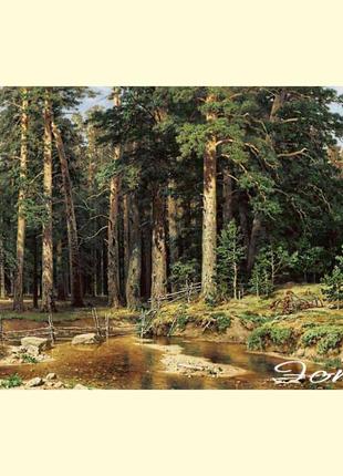 290 корабельна гай, 650 х 415