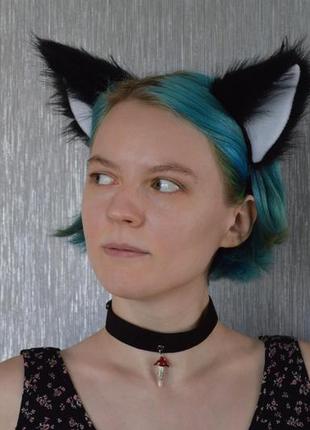 Хвіст прямий та вуха чорного вовка.