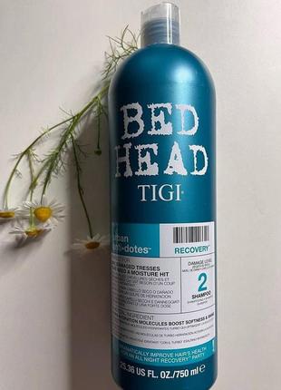 Зволожуючий шампунь для волосся tigi bed head urban anti+dotes recovery shampoo1 фото