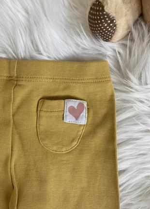 Штанці, лосіни, штани