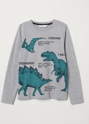 Реглан hm здінозаврами на 4/6 років