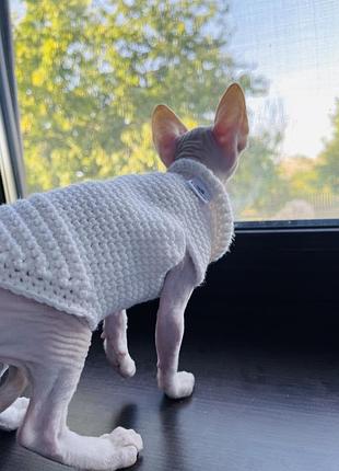 Одежда коту,одежда кошке,одежда для животных