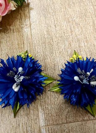 Волошки шпильки чи гумки