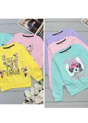 🐨світшот, реглан, батнік, кофта з мінні, з собачкою двунітка