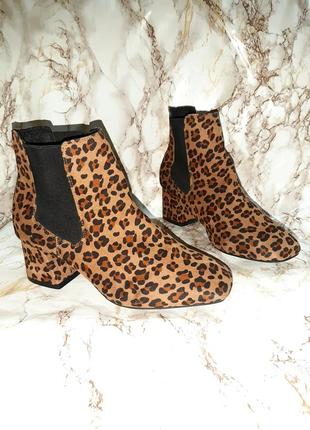 Леопардові черевики на середніх підборах з резинками-вставками по бокам