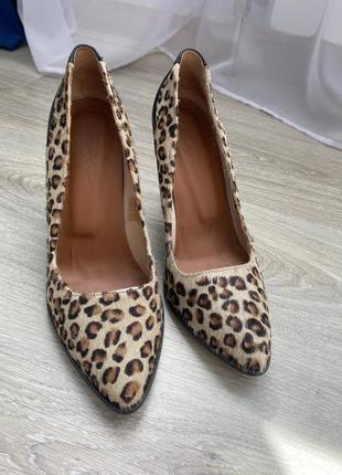 Туфли кожаные леопардовые3 фото