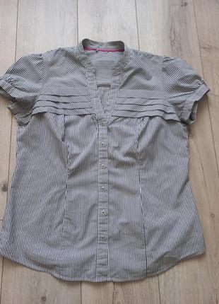 Сорочка класична