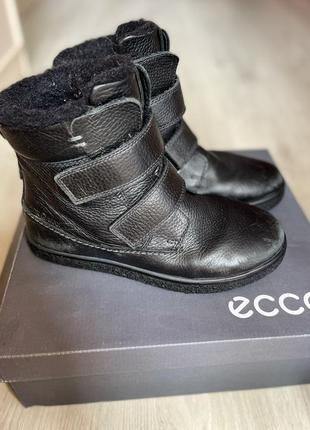 Зимние сапоги ecco