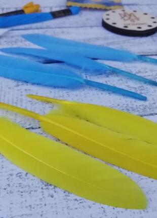Патріотичне пір’я жовто блакитне перо качки пофарбовані кольорові4 фото