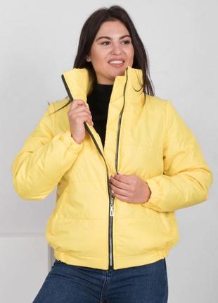 Женская куртка курточка без капюшона весна демисезон осень2 фото