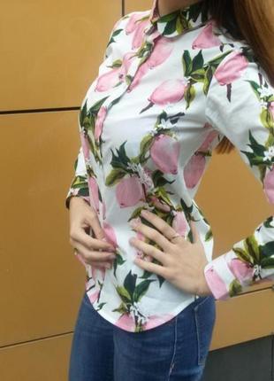 Блуза яскрава, сорочка жіноча