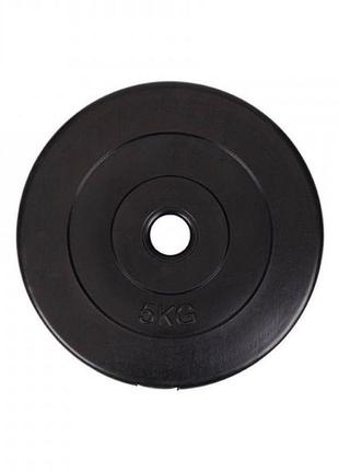 Диск ( млинець) 5 кг блін