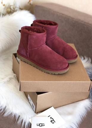 Женские угги ugg