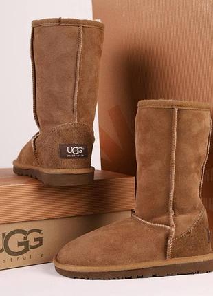 Уггі дитячі чоботи зимові