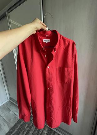 Сорочка, сорочка, блуза