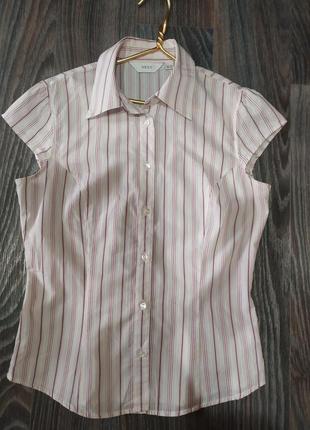Блузка, сорочка ділова, шкільна1 фото