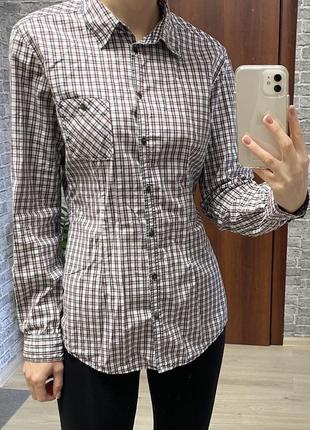 Сорочка Kids polo-shirts Silver clothing wallets eyewear