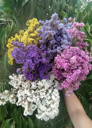 Статиця, різні кольори, кермек, букет