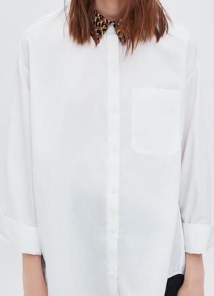Сорочка рубашка блуза zara5 фото