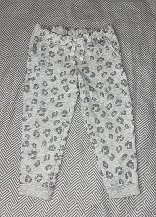 Штани на флісі 3т