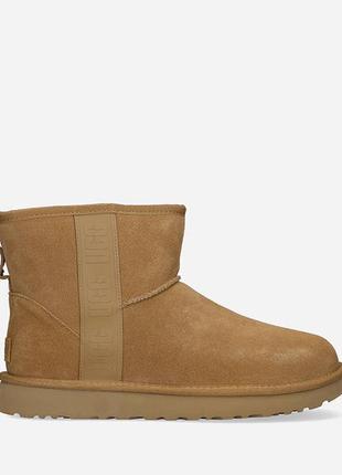 Сапоги зимние женские угги ugg classic mini side logo che1 фото