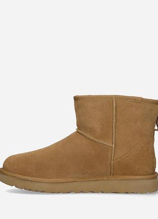 Сапоги зимние женские угги ugg classic mini side logo che3 фото