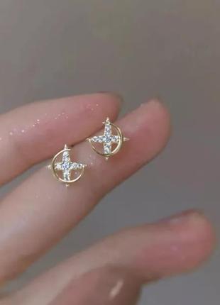 Сережки 6