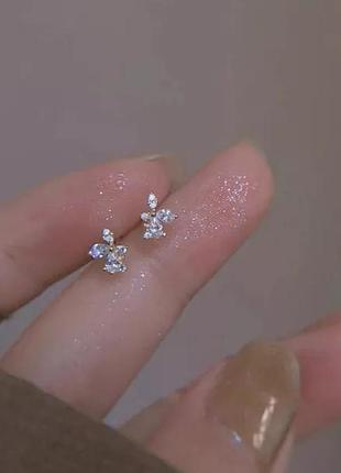 Сережки 5
