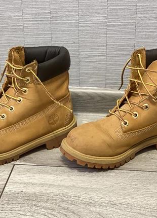 Черевики timberland7 фото