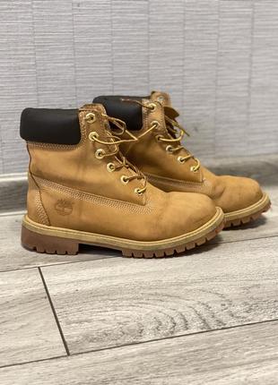 Черевики timberland1 фото