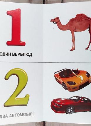 Книжка картонка в долоньку "цифри"2 фото