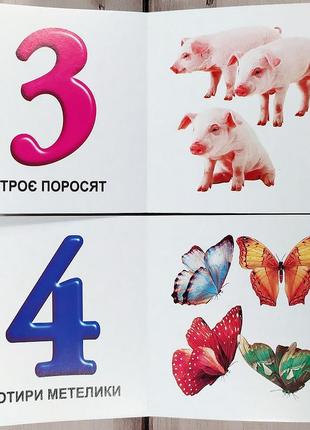 Книжка картонка в долоньку "цифри"