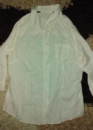 Натуральна фірмова легка сорочка в горохи fat face