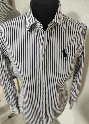 Трендова базова сорочка рубашка з бавовни ralph lauren sport